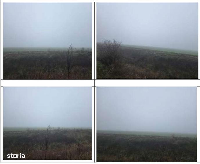 Teren extravilan- Loc. Ileana, jud. Calarasi - 3