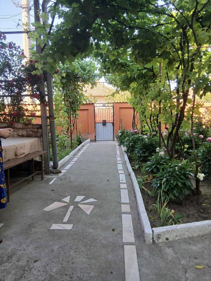 Vand casa 5 camere si dependinte cu apa curenta si teren 3000m2 in sat Schinteiesti din Jud Mehedinti - 6