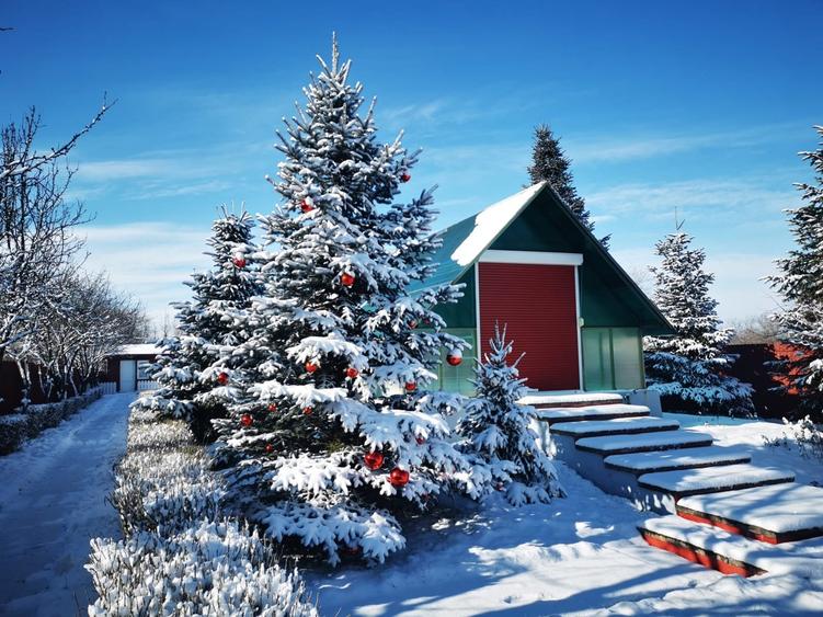 Casă de închiriat, curte mare, livadă și piscină Snagov/Ciolpani - 1