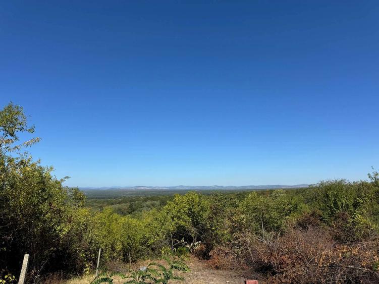 Teren 4.280 mp Valea Calugareasca Drumul Vinului - 1