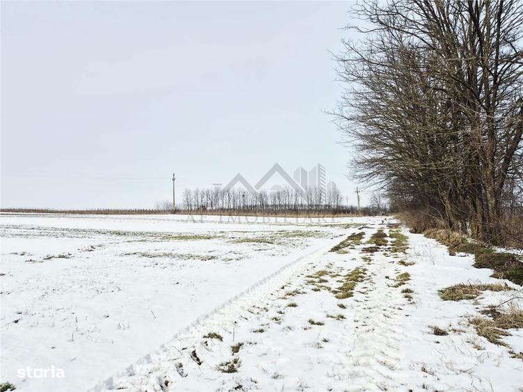 Teren intravilan de vanzare la 11 km de Palatul Culturii Iasi - 4