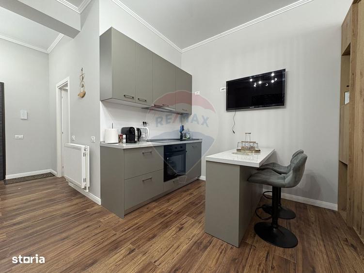 Apartament in zona Hanul cu Pe?te - ?tefan Building Lake II - 10