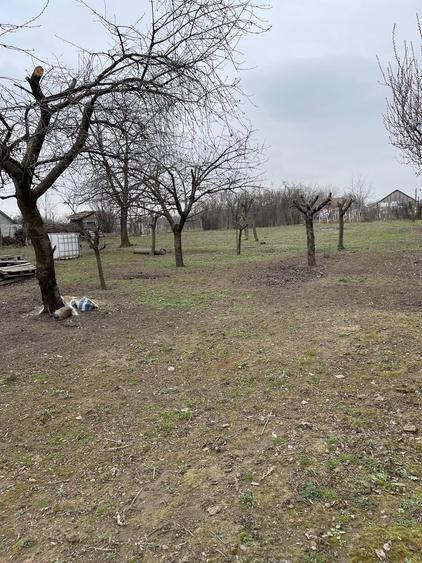 Teren de 1800 mp, în Coșoveni