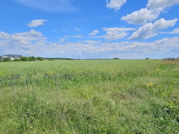 Teren extravilan Tancabesti - 3