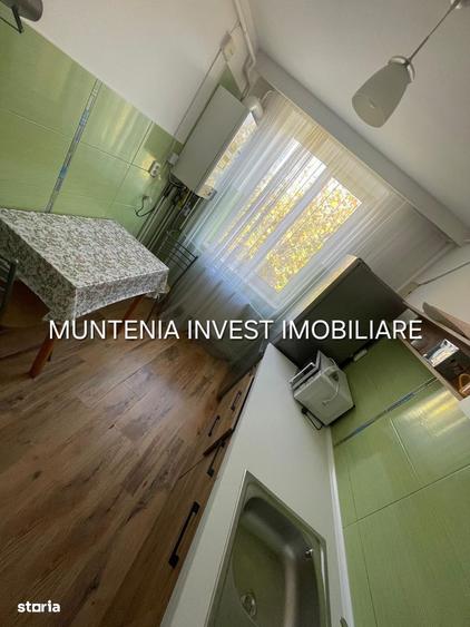 Ap. 2 camere, mobilat si utilat, Craiovei - 4