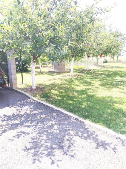 Casa P+1E zona Starzii Iasului -6 ari teren mobilata 219500eur neg - 8