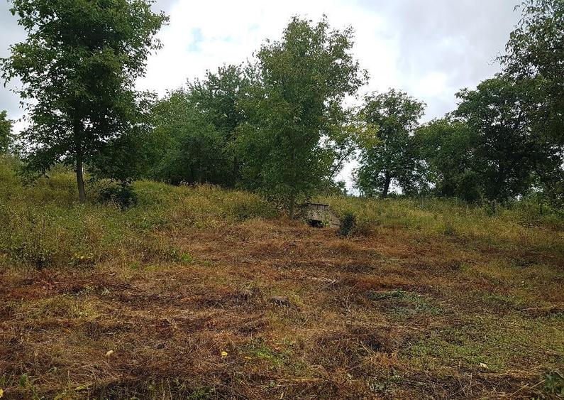 Parava, sat Dragusani, teren 4800mp, la asfalt - 13