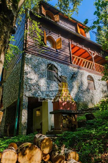 Pensiune, casa de vacanta, 6 camere, statiunea Rausor din Hunedoara - 18