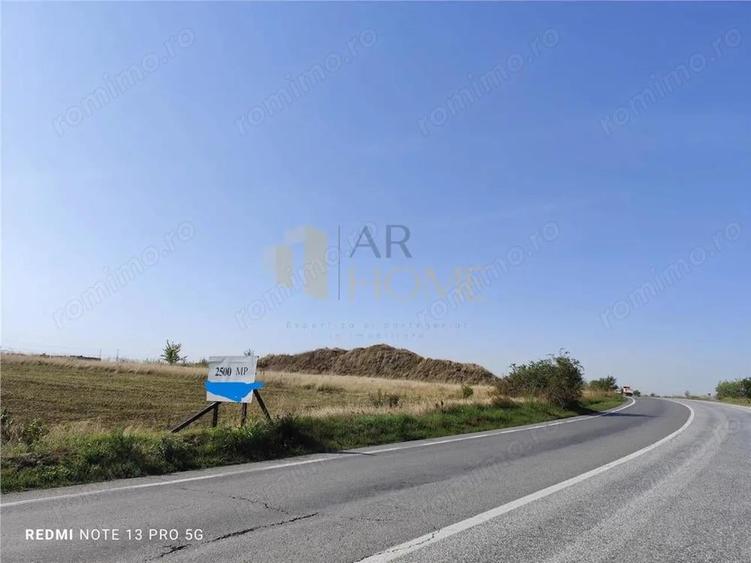 2500 mp Dn1 A Cocorastii Colt - 3