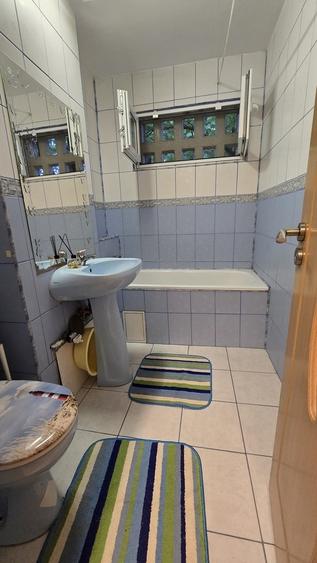 Berceni, Emil Racovita - 7