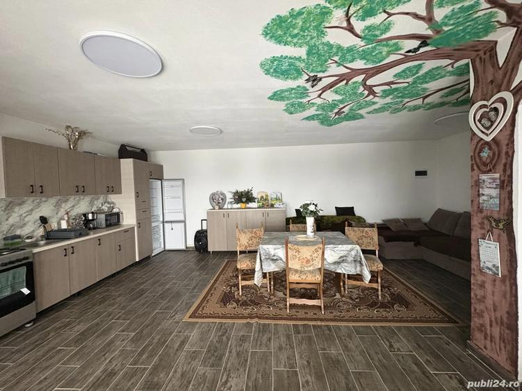 Cabana de inchiriat - 3