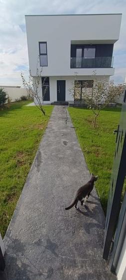 CASA DE LANGA PADURE, Clinceni str. Mierlei 73J - 5