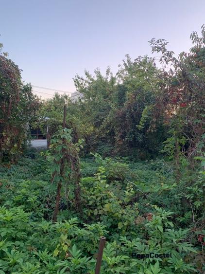 Otopeni Oituz teren 1000 mp deschidere 14 ml utilitati langa teren - 7