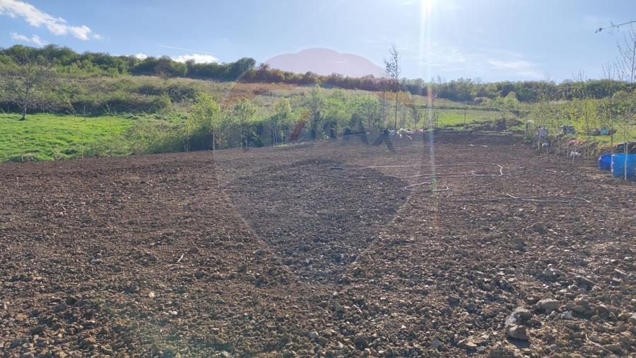 Vânzare teren intravilan 1,200mp Oradea, zona Doja - Hanul Pescarilor - 10