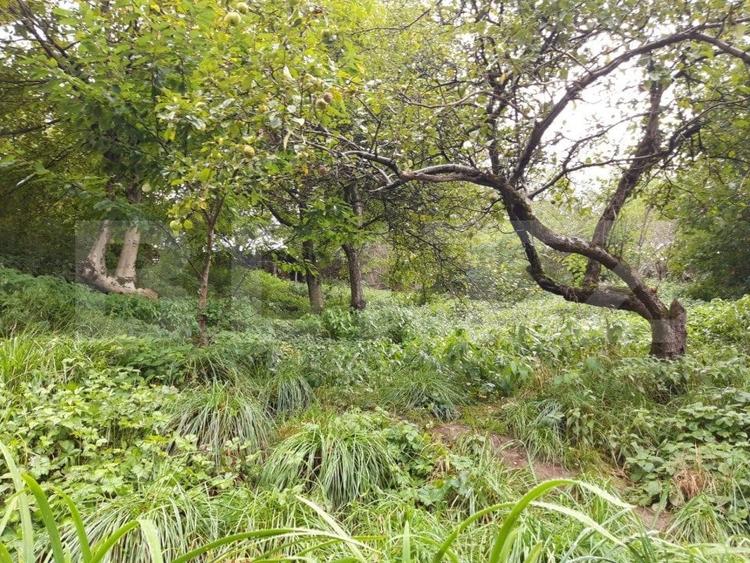 Casa in Rasnov, 90 mp2, teren 1000mp. - 1