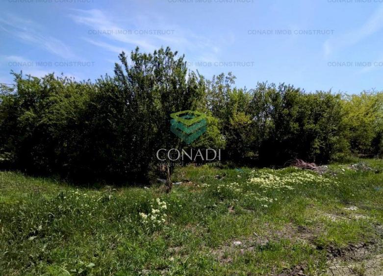 Teren pretabil dezvoltare rezidentiala sau mixta in Otopeni - Zona Libertatii - 2
