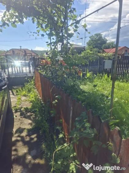 CASA DE VANZARE CU LIVADA ,FANTANA PROPRIE ,LA STR PRINCIPAL - 2