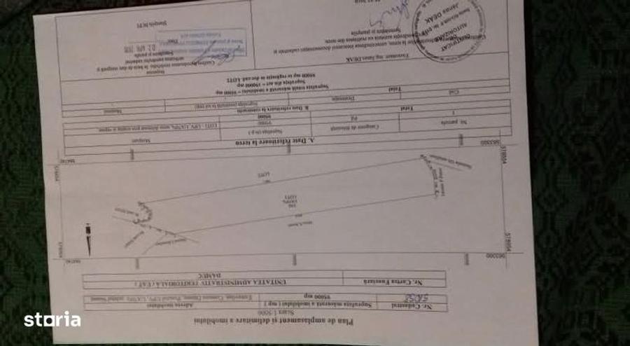 Padure cu teren 9.5 hectare investie forestiera avantajoasa - 4