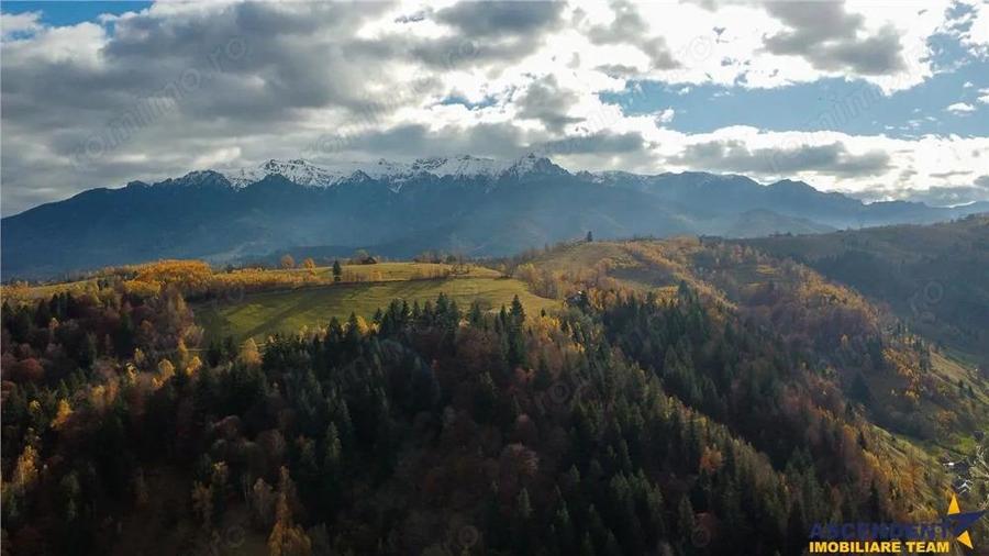 Proprietate autentica, stil traditional:Eco, cu parau pitoresc si vedere spectaculoasa, teren 900 mp - 16