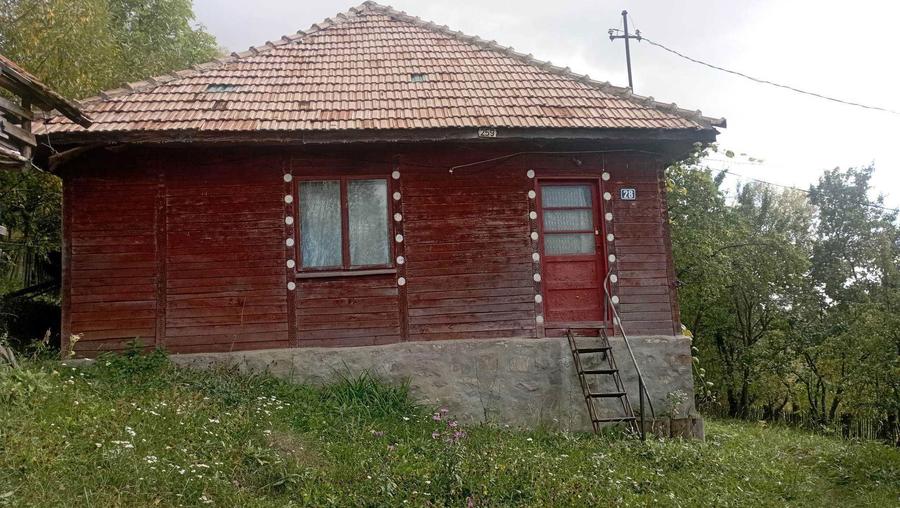 Casa batraneasca cu teren livada intravilan/extravilan 9032mp - 5