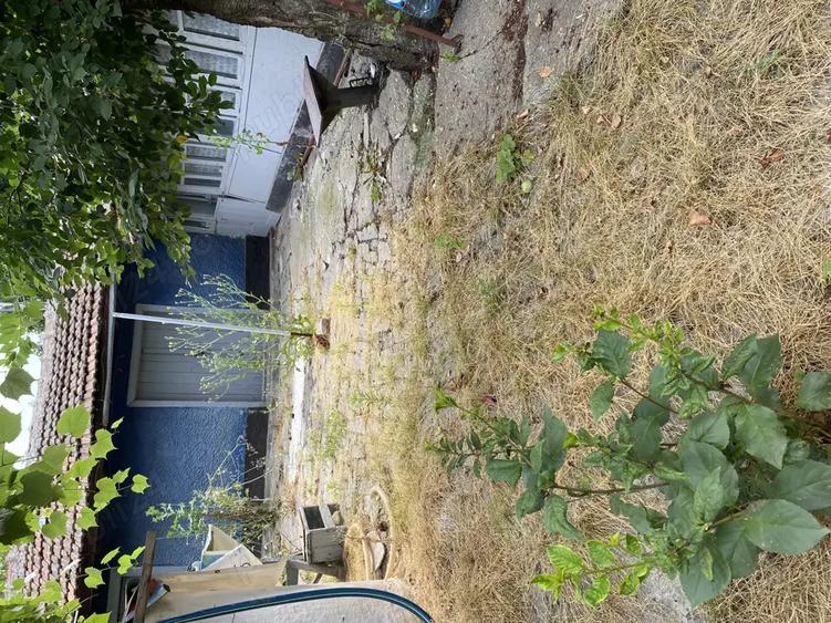 Casa batraneasca - 7