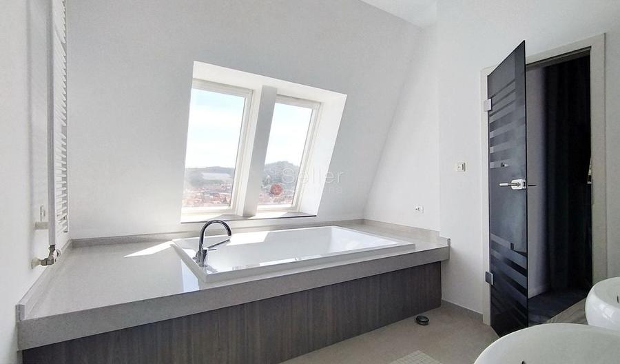 Priveliste Panoramica Spre Oras Si Masivul Tampa - 24