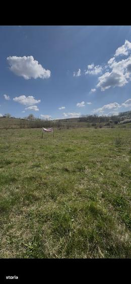 Teren Intravilan Zalau Gradina Onului | 22 ari | Parcelabil - 2