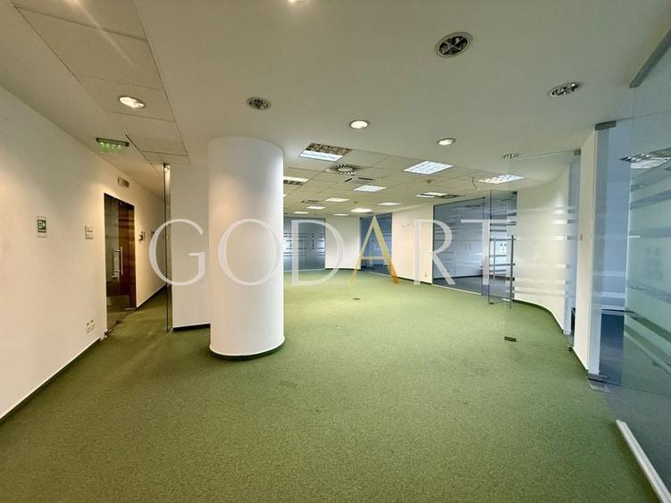 Spațiu de Birouri Premium | Etaj Integral | 455 mp - 3