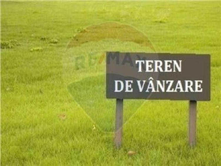 Teren Construcții intravilan de 10000 mp, în Sud