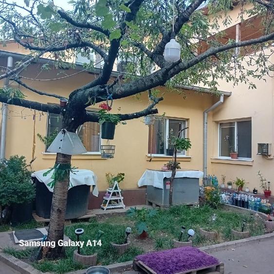 Casa si spatiu comercial Liceul 1MAI - 7