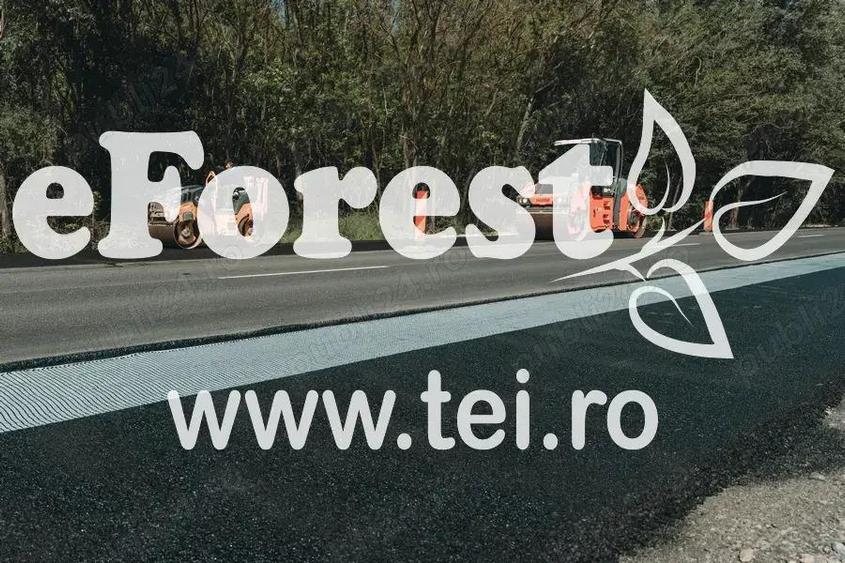 eForest teren rezidential in zona de padure, deschidere spre padure - 5