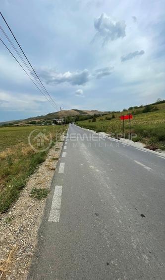 Teren intra/extravilan, Miroslava, 17.500mp - 2