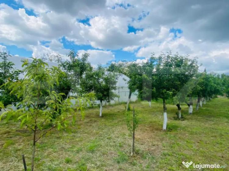 Casa pe parter, 2.753 mp teren, Marotinu de Sus, Celaru - 6