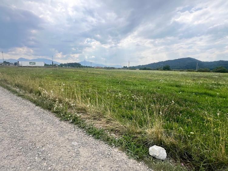 Teren de vanzare  10800 mp - 6