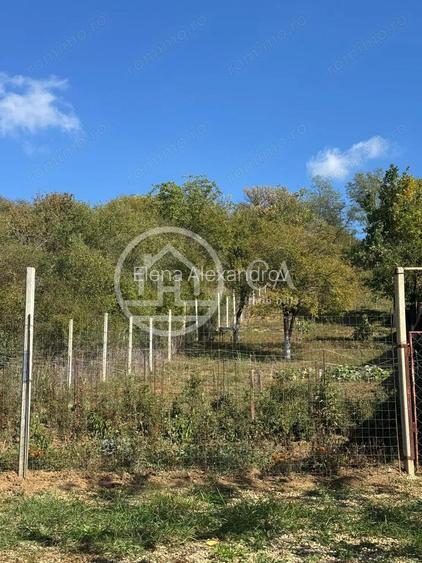 Teren de vanzare in zona de Dealuri, Oradea Teren de vanzare in zona de Dealuri, Oradea
