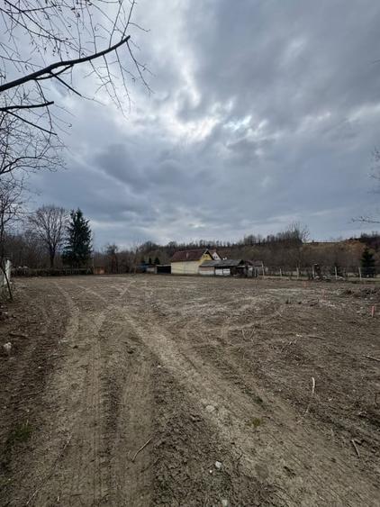 Teren Intravilan - parcelabil - 1.450 mp - Valea Avrigului - 2