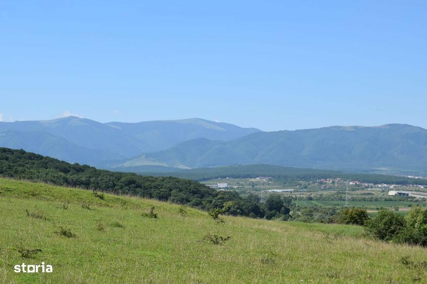 Teren De Vanzare Selimbar Zona Bungard - 4