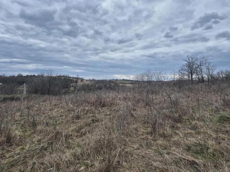 Vand teren Intrare spre Iabalcea - 4