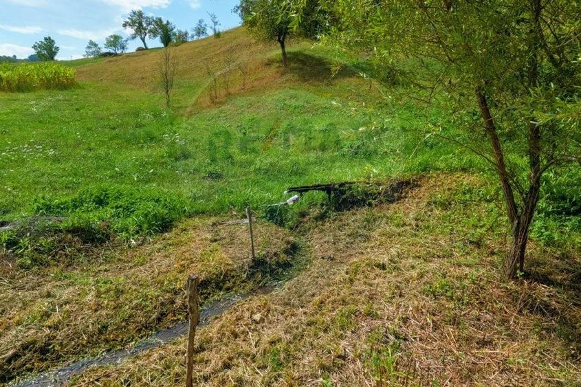 Casa veche cu teren ,Varmaga jud Hunedoara - 4