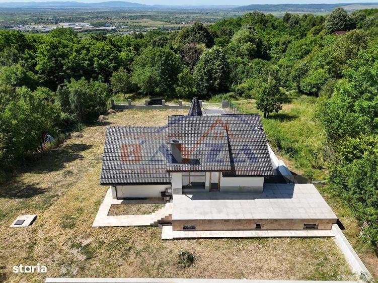 Casa superba P+E+M, teren 5.000 mp Viile Cicarlaului - 20