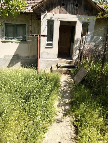Vand casa - 8
