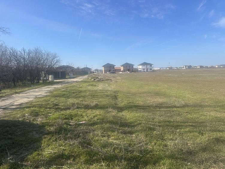 Teren de vanzare Pantelimon-Cernica - 3