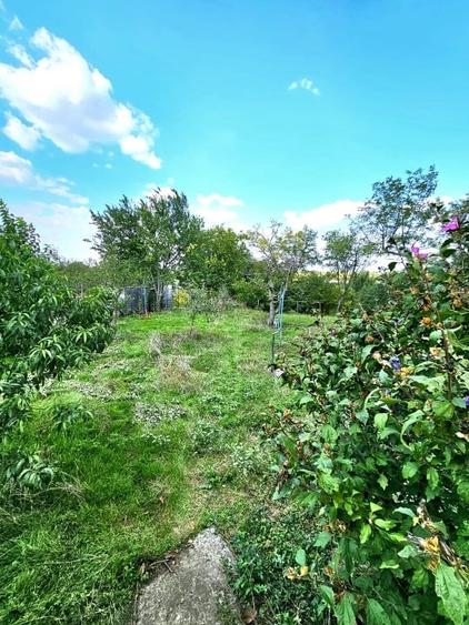 Casa de weekend lângă lac la o ora de Bucuresti - 3