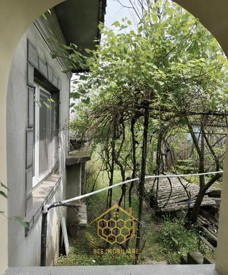 Teren 1.451 mp INTRAVILAN in Podari Toate utilitatile - 9