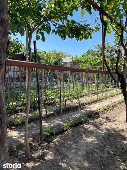 Casa 165 mp + teren 454 mp ~Tulcea - 9