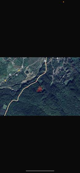 Teren 8.329 mp Magura (Ciuta), jud. Buzau extravilan - 7