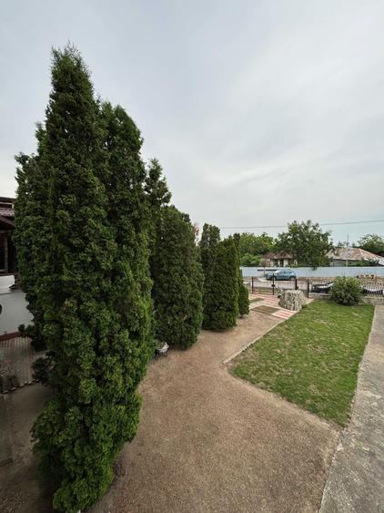 Casa tip vila, 9 camere, teren 3400 mp Garoafa, aproape de Focsani - 7