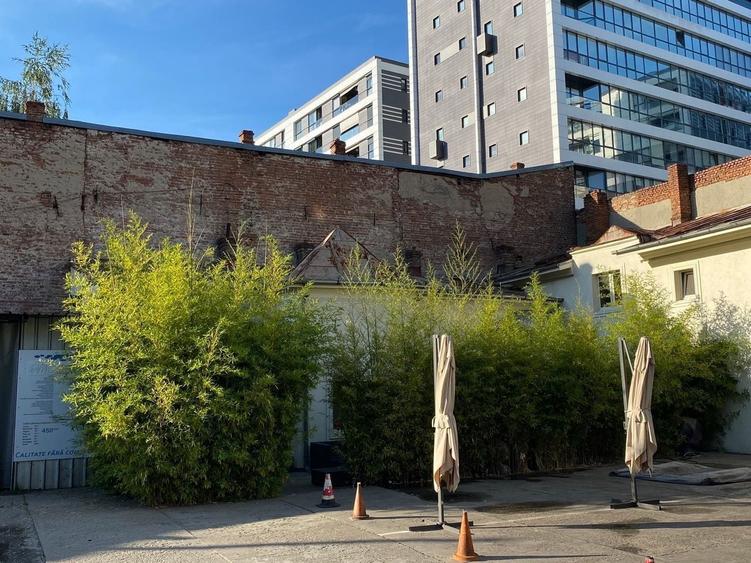 Inchiriere  vila central Bucuresti colt Calea Calarasilor - 12