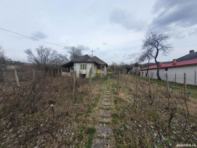 Vand Casa cu teren in comuna Livezi jude?ul Valcea. - 4