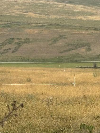 Vand teren cu cf intre Cojocna si Iuriu de Campie - 5